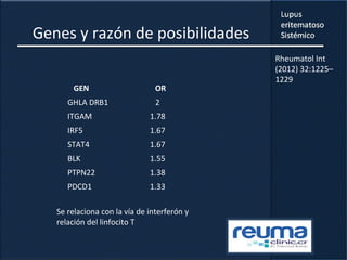 Genes y razón de posibilidades
GEN
GHLA DRB1
ITGAM
IRF5
STAT4
BLK
PTPN22
PDCD1
OR
2
1.78
1.67
1.67
1.55
1.38
1.33
Se relaciona con la vía de interferón y
relación del linfocito T
Rheumatol Int
(2012) 32:1225–
1229
 