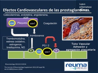 Efectos Cardiovasculares de las prostaglandinas.
cox1cox2
PG I 2
Tono Vascular
Adhesión y
agregación plaquetaria
CoagulaciónPlaqueta
tromboxanos
Catecolaminas, endotelina, angiotensina,
ADP
Trombomodulina,
estress oxidativo,
estrogenos,
bradiquinina, NO
RR
cox1cox2
Rheumatology 2013;52:210216
RR
The Journal of Rheumatology Supplement 2012;39 Suppl 90;
doi:10.3899/jrheum.12034
 