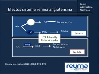 Efectos sistema renina angiotensina
AA
cox1
cox2
TA2 Tono vascular
PgI2 SRAA
AA
Tono vascular
Natriuresis
PgI2cox2
HTA 3-5 mmHg
Ret agua y sodio
Corteza
Medula
Kidney International (2013) 84, 174–178
 