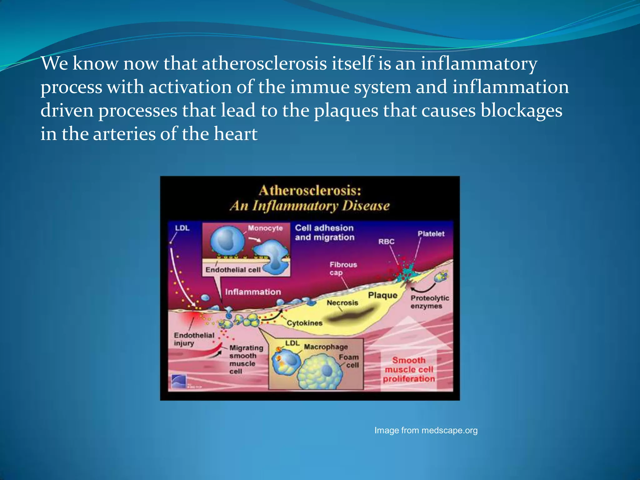We know now that atherosclerosis itself is an inflammatory
process with activation of the immue system and inflammation
driven processes that lead to the plaques that causes blockages
in the arteries of the heart




                                       Image from medscape.org
 