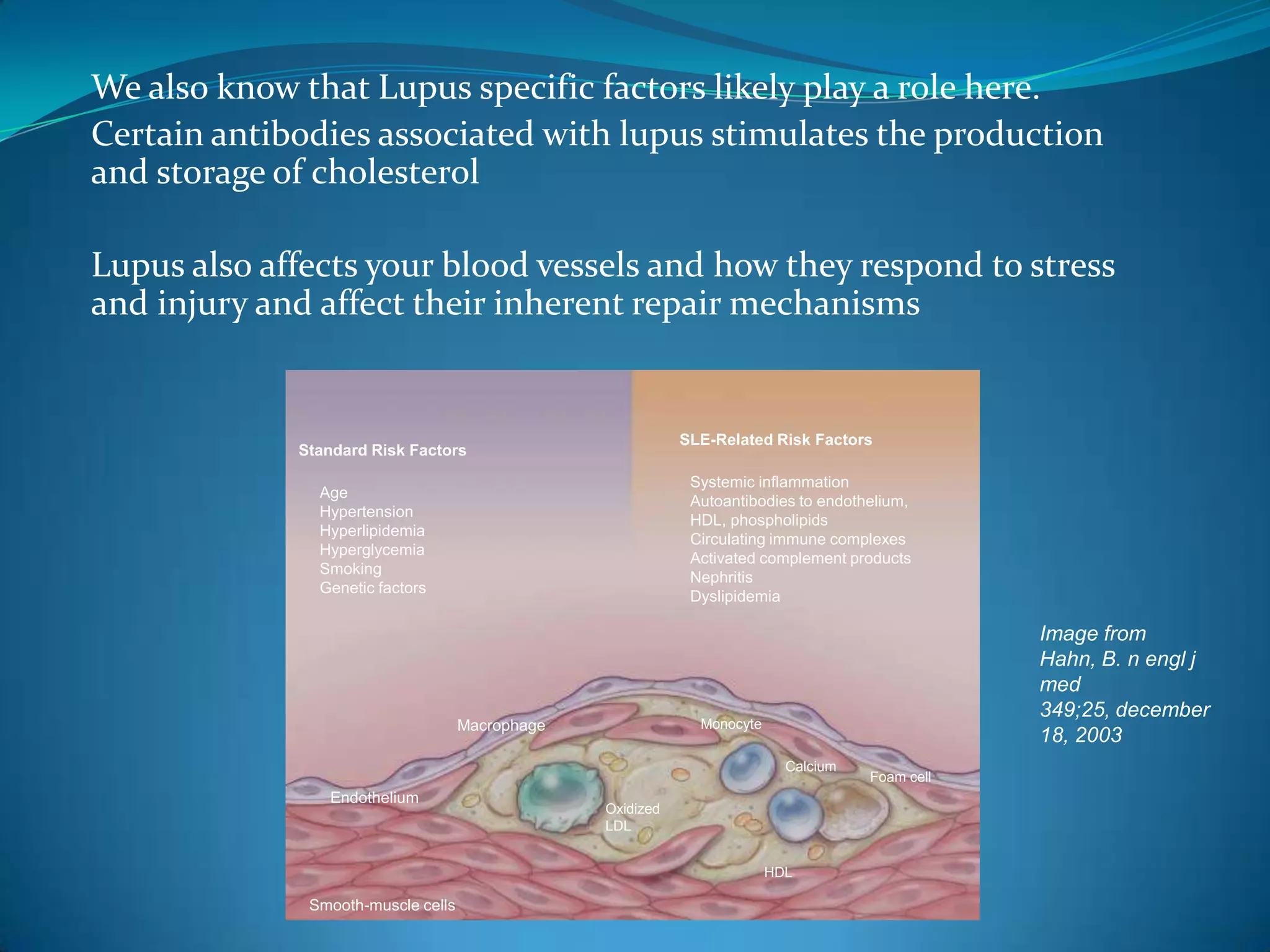 We also know that Lupus specific factors likely play a role here.
Certain antibodies associated with lupus stimulates the production
and storage of cholesterol

Lupus also affects your blood vessels and how they respond to stress
and injury and affect their inherent repair mechanisms


                                                            SLE-Related Risk Factors
             Standard Risk Factors

                                                             Systemic inflammation
               Age
                                                             Autoantibodies to endothelium,
               Hypertension
                                                             HDL, phospholipids
               Hyperlipidemia
                                                             Circulating immune complexes
               Hyperglycemia
                                                             Activated complement products
               Smoking
                                                             Nephritis
               Genetic factors
                                                             Dyslipidemia

                                                                                                 Image from
                                                                                                 Hahn, B. n engl j
                                                                                                 med
                                                                                                 349;25, december
                                    Macrophage                Monocyte
                                                                                                 18, 2003
                                                                           Calcium
                                                                                     Foam cell
                Endothelium
                                                 Oxidized
                                                 LDL


                                                                         HDL

              Smooth-muscle cells
 