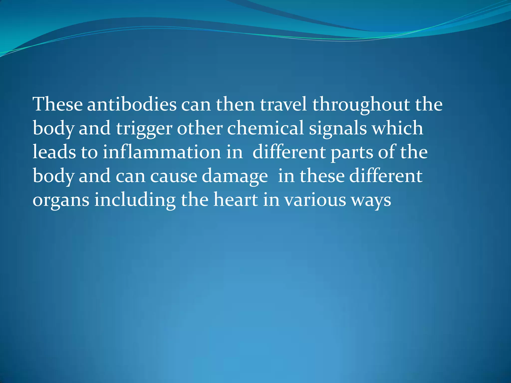 These antibodies can then travel throughout the
body and trigger other chemical signals which
leads to inflammation in different parts of the
body and can cause damage in these different
organs including the heart in various ways
 