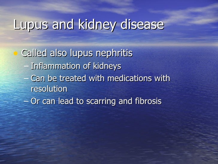 Lupus and your kidneys