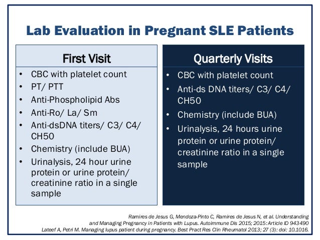 pregnancy test report sle managing lupus in pregnancy pregnancy test report sle managing lupus in pregnancy