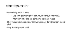 BIỂU HIỆN Ở PHỔI
• Viêm màng phổi: TDMP:
+ Cấp tính gây viêm phổi (sốt, ho, khó thở, ho ra máu),
+ Mạn tính (khó thở khi gắng sức, ho khan, rales)
• Chảy máu phổi: ho ra máu, tiên lượng nặng, do viêm mạch máu ở
phổi
• Tăng áp động mạch phổi
 