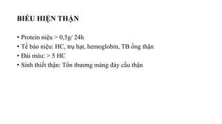 BIỂU HIỆN THẬN
• Protein niệu > 0,5g/ 24h
• Tế bào niệu: HC, trụ hạt, hemoglobin, TB ống thận
• Đái máu: > 5 HC
• Sinh thiết thận: Tổn thương màng đáy cầu thận
 