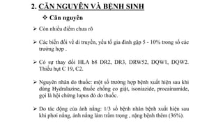 2. CĂN NGUYÊN VÀ BỆNH SINH
 Còn nhiều điểm chưa rõ
 Các biến đổi về di truyền, yếu tố gia đình gặp 5 - 10% trong số các
trường hợp .
 Có sự thay đổi HLA b8 DR2, DR3, DRW52, DQW1, DQW2.
Thiếu hụt C 19, C2.
 Nguyên nhân do thuốc: một số trường hợp bệnh xuất hiện sau khi
dùng Hydralazine, thuốc chống co giật, isoniazide, procainamide,
gọi là hội chứng lupus đỏ do thuốc.
 Do tác động của ánh nắng: 1/3 số bệnh nhân bệnh xuất hiện sau
khi phơi nắng, ánh nắng làm trầm trọng , nặng bệnh thêm (36%).
 Căn nguyên
 