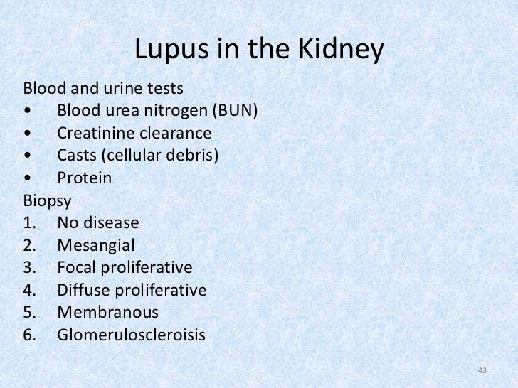 pregnancy positive test miscarriage Lupus