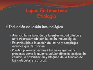 Lupus Eritematoso
Etiología
4.Inducción de lesión inmunológica
 Anuncia la instalación de la enfermedad clínica y

está representado por la lesión inmunológica.
 Es atribuíble a la acción de los Ac y complejos
inmunes que se forman.
 Pueden provocar lesiones tisulares mediante
procesos como la muerte celular directa, activación
celular, la opsonización y bloqueo de la función de
las moléculas efectoras.

 