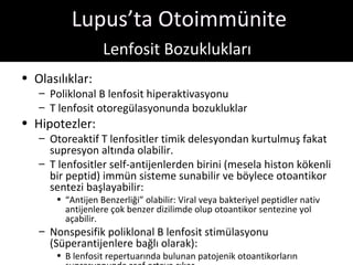 Lupus’ta Otoimmünite
                  Lenfosit Bozuklukları
• Olasılıklar:
   – Poliklonal B lenfosit hiperaktivasyonu
   – T lenfosit otoregülasyonunda bozukluklar
• Hipotezler:
   – Otoreaktif T lenfositler timik delesyondan kurtulmuş fakat
     supresyon altında olabilir.
   – T lenfositler self-antijenlerden birini (mesela histon kökenli
     bir peptid) immün sisteme sunabilir ve böylece otoantikor
     sentezi başlayabilir:
      • “Antijen Benzerliği” olabilir: Viral veya bakteriyel peptidler nativ
        antijenlere çok benzer dizilimde olup otoantikor sentezine yol
        açabilir.
   – Nonspesifik poliklonal B lenfosit stimülasyonu
     (Süperantijenlere bağlı olarak):
      • B lenfosit repertuarında bulunan patojenik otoantikorların
 