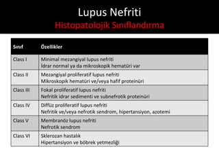 Lupus Nefriti
                  Histopatolojik Sınıflandırma

Sınıf       Özellikler

Class I     Minimal mezangiyal lupus nefriti
            İdrar normal ya da mikroskopik hematüri var
Class II    Mezangiyal proliferatif lupus nefriti
            Mikroskopik hematüri ve/veya hafif proteinüri
Class III   Fokal proliferatif lupus nefriti
            Nefritik idrar sedimenti ve subnefrotik proteinüri
Class IV    Diffüz proliferatif lupus nefriti
            Nefritik ve/veya nefrotik sendrom, hipertansiyon, azotemi
Class V     Membranöz lupus nefriti
            Nefrotik sendrom
Class VI    Sklerozan hastalık
            Hipertansiyon ve böbrek yetmezliği
 