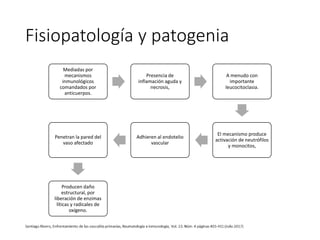 Fisiopatología y patogenia
Mediadas por
mecanismos
inmunológicos
comandados por
anticuerpos.
Presencia de
inflamación aguda y
necrosis,
A menudo con
importante
leucocitoclasia.
El mecanismo produce
activación de neutrófilos
y monocitos,
Adhieren al endotelio
vascular
Penetran la pared del
vaso afectado
Producen daño
estructural, por
liberación de enzimas
líticas y radicales de
oxígeno.
 