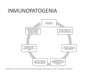 INMUNOPATOGENIA
a) Mecanismos
inmunopatógenos
Formación o depósito in situ
de inmunocomplejos en la
pared de los vasos sanguíneos
Daño directo a través de
anticuerpos dirigidos contra
células endoteliales
Citotoxicidad tisular
dependientes de anticuerpos
dirigida contra los vasos
sanguíneos
Linfocitos T citotóxicos
dirigidos contra componentes
de los vasos sanguíneos
Formación de granulomas en
la pared de los vasos
sanguíneos o adyacente a su
pared
Expresión de moléculas para la
adhesión de los leucocitos a
las células endoteliales
inducidas por citocinas
(interleucina 1, FNT)
 