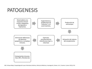 PATOGENESIS
Desencadena una
respuesta inmune
innata y adaptativa
desregulada e
hiperactiva.
Supervivencia y
proliferación de
linfocitos T y B
autorreactivos,
Producción de
anticuerpos
Activación del sistema
del complemento.
Estímulos
proinflamatorios
(interferones tipo I y
citocinas)
Eliminación defectuosa
de desechos
apoptóticos y complejos
inmunes.
Componentes inmunes:
HLA, IRF5, ITG (HLA A1)
MG. Enríquez-Mejía, Fisiopatología del Lupus Eritematoso Sistémico, Revista de Medicina e Investigación, Elsiever, Vol. 1, Numero 1 (enero 2013), 8-16
 