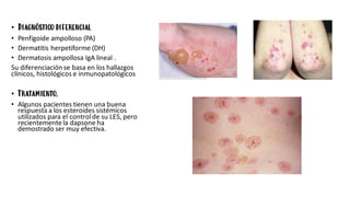 • Diagnóstico diferencial
• Penfigoide ampolloso (PA)
• Dermatitis herpetiforme (DH)
• Dermatosis ampollosa IgA lineal .
Su diferenciación se basa en los hallazgos
clínicos, histológicos e inmunopatológicos
• Tratamiento.
• Algunos pacientes tienen una buena
respuesta a los esteroides sistémicos
utilizados para el controlde su LES, pero
recientementela dapsone ha
demostrado ser muy efectiva.
 