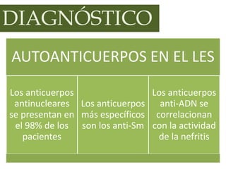 DIAGNÓSTICO
AUTOANTICUERPOS EN EL LES
Los anticuerpos
antinucleares
se presentan en
el 98% de los
pacientes
Los anticuerpo...
