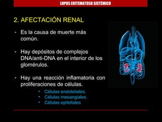 LUPUS ERITEMATOSO SISTÉMICO



2. AFECTACIÓN RENAL
- Es la causa de muerte más
  común.

- Hay depósitos de complejos
  DNA/anti-DNA en el interior de los
  glomérulos.

- Hay una reacción inflamatoria con
  proliferaciones de células.
         •   Células endoteliales.
         •   Células mesangiales.
         •   Células epiteliales
 