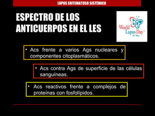 LUPUS ERITEMATOSO SISTÉMICO



ESPECTRO DE LOS
ANTICUERPOS EN EL LES

  • Acs frente a varios Ags nucleares y
    componentes citoplasmáticos.

     • Acs contra Ags de superficie de las células
       sanguíneas.

  • Acs reactivos frente a complejos de
    proteínas con fosfolípidos.
 