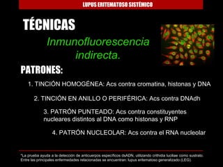 LUPUS ERITEMATOSO SISTÉMICO



 TÉCNICAS
               Inmunofluorescencia
                    indirecta.
PATRONES:
    1. TINCIÓN HOMOGÉNEA: Acs contra cromatina, histonas y DNA

        2. TINCIÓN EN ANILLO O PERIFÉRICA: Acs contra DNAdh

             3. PATRÓN PUNTEADO: Acs contra constituyentes
             nucleares distintos al DNA como histonas y RNP

                  4. PATRÓN NUCLEOLAR: Acs contra el RNA nucleolar


*La prueba ayuda a la detección de anticuerpos específicos dsADN, utilizando crithidia luciliae como sustrato.
Entre las principales enfermedades relacionadas se encuentran: lupus eritematoso generalizado (LEG).
 