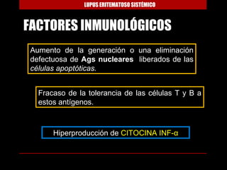 LUPUS ERITEMATOSO SISTÉMICO



FACTORES INMUNOLÓGICOS
 Aumento de la generación o una eliminación
 defectuosa de Ags nucleares liberados de las
 células apoptóticas.


   Fracaso de la tolerancia de las células T y B a
   estos antígenos.



       Hiperproducción de CITOCINA INF-α
 
