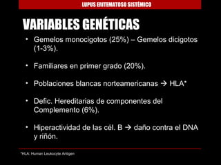 LUPUS ERITEMATOSO SISTÉMICO



 VARIABLES GENÉTICAS
  • Gemelos monocigotos (25%) – Gemelos dicigotos
    (1-3%).

  • Familiares en primer grado (20%).

  • Poblaciones blancas norteamericanas  HLA*

  • Defic. Hereditarias de componentes del
    Complemento (6%).

  • Hiperactividad de las cél. B  daño contra el DNA
    y riñón.

*HLA: Human Leukocyte Antigen
 