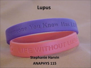 Lupus Stephanie Harvin ANAPHYS 115 