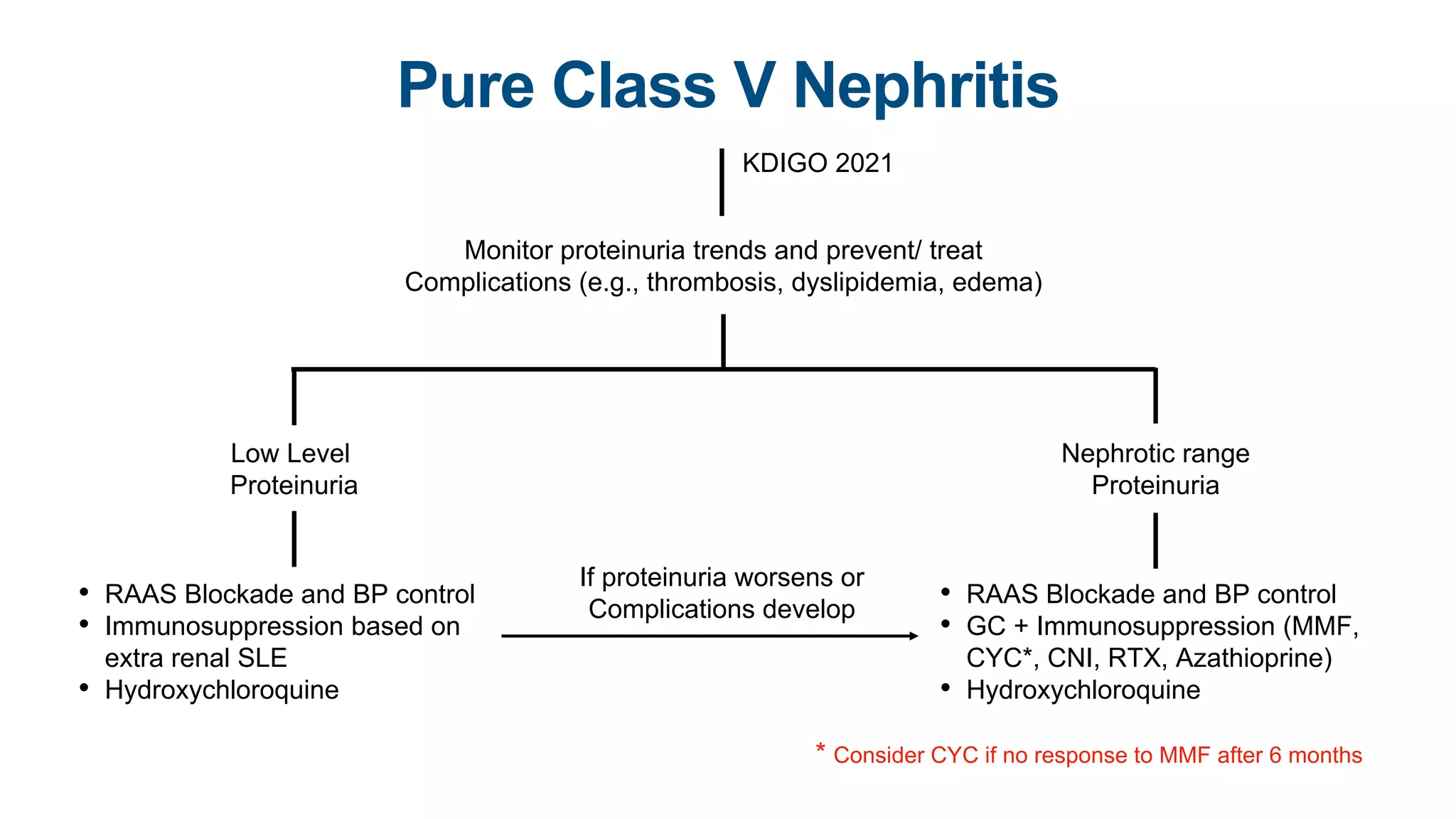 Lupus Nephritis Guideline Review 2022 | PPTX