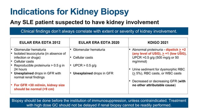 Lupus Nephritis Stage 5 Life Expectancy Lupus Nephritis Guideline Review 2022