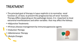 TREATMENT
• The principal goal of therapy in lupus nephritis is to normalize renal
function or, at least, to prevent the progressive loss of renal function.
Therapy differs depending on the pathologic lesion. It is important to treat
extrarenal manifestations and other variables that may affect the kidneys.
• •Adjunctive Treatments
• •Primary disease management by immunosuppressive agents
• •Induction Therapy
• •Maintenance Therapy
• Lifestyle Changes
 