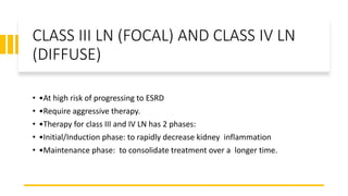 CLASS III LN (FOCAL) AND CLASS IV LN
(DIFFUSE)
• •At high risk of progressing to ESRD
• •Require aggressive therapy.
• •Therapy for class III and IV LN has 2 phases:
• •Initial/Induction phase: to rapidly decrease kidney inflammation
• •Maintenance phase: to consolidate treatment over a longer time.
 