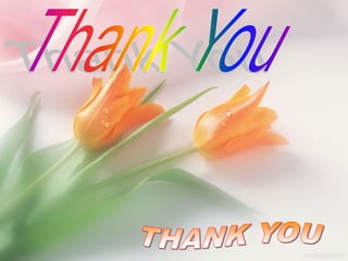 Lupus nephritis peals 