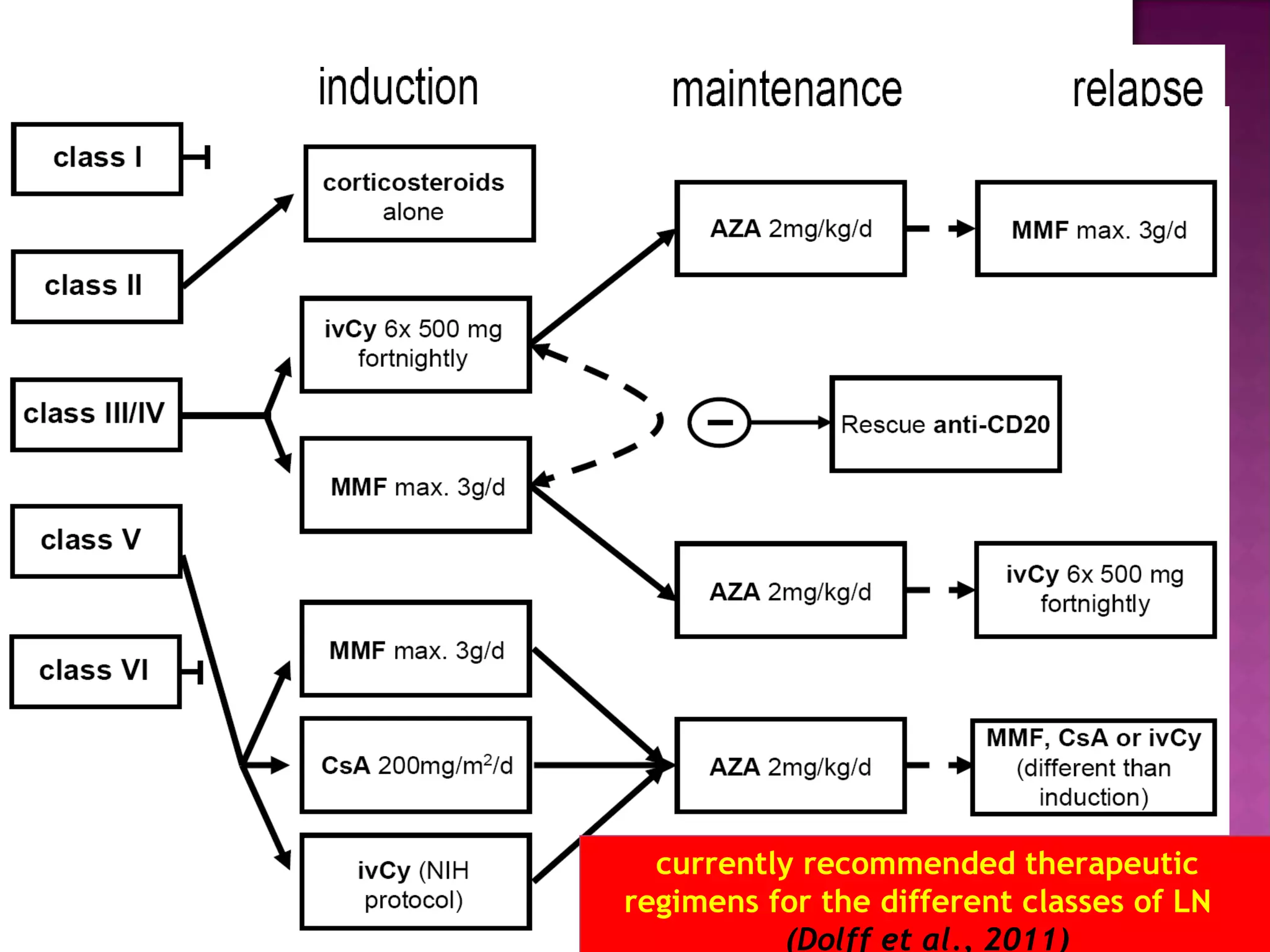currently recommended therapeutic
regimens for the different classes of LN
(Dolff et al., 2011)
 