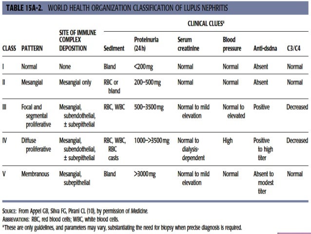 biopsy report sle lupus nephritis post fff biopsy report sle lupus nephritis post fff