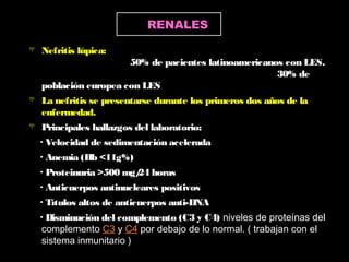  Nefritis lúpica:
50% de pacientes latinoamericanos con LES.
30% de
población europea con LES
 La nefritis se presentarse durante los primeros dos años de la
enfermedad.
 Principales hallazgos del laboratorio:
· Velocidad de sedimentación acelerada
· Anemia (Hb <11g%)
· Proteinuria >500 mg/24 horas
· Anticuerpos antinucleares positivos
· Títulos altos de anticuerpos anti-DNA
· Disminución del complemento (C3 y C4) niveles de proteínas del
complemento C3 y C4 por debajo de lo normal. ( trabajan con el
sistema inmunitario )
RENALES
 