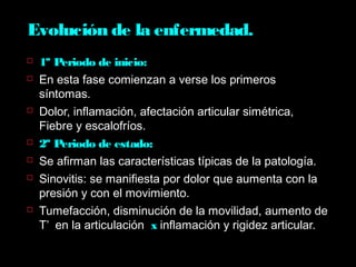 Evolución de la enfermedad.
 1º Periodo de inicio:
 En esta fase comienzan a verse los primeros
síntomas.
 Dolor, inflamación, afectación articular simétrica,
Fiebre y escalofríos.
 2º Periodo de estado:
 Se afirman las características típicas de la patología.
 Sinovitis: se manifiesta por dolor que aumenta con la
presión y con el movimiento.
 Tumefacción, disminución de la movilidad, aumento de
T’ en la articulación x inflamación y rigidez articular.
 