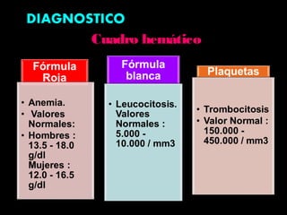 Cuadro hemáticoCuadro hemático
 