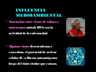  Asociación entre el uso de tabaco y
anticuerpos anti-ds DNA con la
actividad de la enfermedad.
 Algunos virus: desencadenan y
exacerban, el potencial de activar
células B, o liberarautoantígenos
luego del daño tisularque causan.
INFLUENCIA
MEDIOAMBIENTAL
 