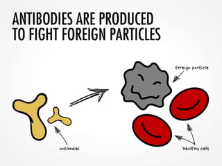 Systemic Lupus: An Overview