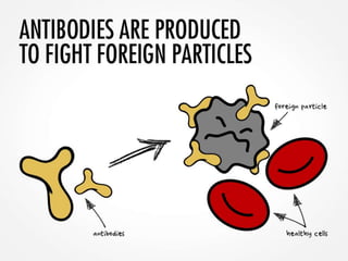 Systemic Lupus: An Overview