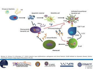 Lupus y síndrome antifosfolípido | PDF