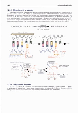 (Luque & Herráez) - Biología Molecular E ingeniería Genética - 1° Edición.pdf