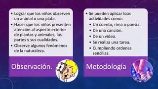 • Lograr que los niños observen   • Se pueden aplicar loas
  un animal o una plata.            actividades como:
• Hacer que los niños presenten     • Un cuento, rima o poesía.
  atención al aspecto exterior      • De una canción.
  de plantas y animales, las        • De un video.
  partes y sus cualidades.
                                    • Se realiza una tarea.
• Observe algunos fenómenos
                                    • Cumpliendo ordenes
  de la naturaleza.
                                      sencillas.


Observación.                      Metodología
 