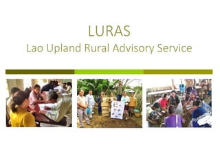 LURAS
Lao Upland Rural Advisory Service
 