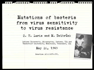 Mutations of bacteria
from virus sensitivity
  to virus resistance
  S. E. Luria and M. Delbrück
  Indiana University, Bloomington, Indiana, USA and
   Vanderbilt University, Nashville, Tennessee, USA

               May 20, 1943
               Genetics 28(6):491-511.
 