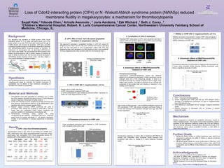 Loss of Cdc42-interacting protein (CIP4) or N -Wiskott Aldrich syndrome protein (NWASp) reduced
                                      membrane fluidity in megakaryocytes: a mechanism for thrombocytopenia
                      Sayali Kale,1 Yolande Chen,1 Arinola Awomolo , 1 Jorie Aardema, 1 Zak Wichard ,1 Seth J. Corey , 1
                      1Children’s Memorial Hospital, Robert. H. Lurie Comprehensive Cancer Center, Northwestern University Feinberg School of
                      Medicine, Chicago, IL.
                                                                                                                                                                                                                                                                                                                                                     7. NWASp in CHRF-288-11 megakaryoblastic cell line
 Background                                                                                                                                                                                                               5. Localization of CIP4 in membrane                                                                                       NWASp was shown to be present in control CHRF cells and signal is
 Our laboratory has identified an F-BAR protein, CIP4 (Cdc42
                                                                                      2. CIP4-/- MKs of mice have decreased proplatelet                                                         Parental CHRF cells( green is CIP4, red is dynamin3 and blue is                                                                                     reduced by 45% in NWASp knockdown(KD) cells created by lentiviral
                                                                                                formation in suspension cultures                                                                nucleus .CIP4 and dynamin seems to accumulate at the periphery                                                                                      shRNA tranfection of CHRF cells.
 interacting protein 4), in a yeast two-hybrid screen with a Src
 family kinase Lyn as bait. CIP4 binds lipid membranes through its                                                                                                                              of the membrane after PMA or FN stimulation.                                                                                                                                         Control      NWASp
 F-BAR domain and induces its tubulation. CIP4 also promotes              We observed a decrease in proplatelet formation in CIP4 KO versus WT                                                                                                                                                                                                                                 100
                                                                                                                                                                                                                                                                                                                                                                                     CHRF        KD CHRF

 membrane scission through its SH3 domain-dependent interaction           Megakaryocytes. Bone marrow cells were collected from femurs and tibias
                                                                                                                                                                                                                                                                                                                                                                               66
                                                                                                                                                                                                                                                                                                                                                                                                                NWASp
 with WASp(Wiskott-Aldrich Syndrome protein) or dynamin. To               from the mice and grown in vitro in suspension culture with TPO, then
 understand its physiological role, we generated CIP4-deficient           Megakaryocytes were separated on a BSA gradient at day 3 and proplatelet-
                                                                                                                                                                                                                                                                                                                                                                               50
 mice which were viable. We discovered that CIP4 knockout mice            forming megakaryocytes were counted under the microscope at Day 4.                                                                                                                                                                                                                                                                     Actin
                                                                                                                                                                                                                                                                                                                                                                               37
 display thrombocytopenia with a similar degree of severity as
 seen in WASp knockout mice. We have also recently developed a
 CIP4/WASp double knockout mouse strain, and they display a
 more severe decrease in platelet numbers.                                                                                               Average proplatelet formation                                                                                                                                                                                       8. Anisotropic effects of PMA/Fibronectin(FN)
                                                                                                                                              (Error bar = SEM)                                             Control                                                PMA                                                     FN                                           treatment of CHRF cells
                                                                                                                                     0.14                                                                                                                       t=5 min                                                 t=30min
                                                                                                                                     0.12
                                                                                                                                                                                                                                                                                                                                                    Fluorescence anisotropy of control cells on treatment with fibronectin for
                                                                                                                                      0.1                                                                                                                                                                                                           2 hours show increased fluidity whereas NWASp knockdown cells
                                                                                                                                     0.08                                                             6. Anisotropic effects of PMA/Fibronectin(FN)                                                                                                 shows a significant decrease in fluidity.
                                                                                                                                     0.06                                                                        treatment of CHRF cells
                                                                                                                                                                                                                                                                                                                                                                              CHRF 2 hour stimulation with Fibronectin
                                                                                                                                     0.04
                                                                                                                                                                                                                                                                                                                                                                                        (Error bars = sem)
                                                                                                                                     0.02                                                       Fluorescence anisotropy :
                                                                                                                                                                                                                                                                                                                                                                        100
                                                                                                                                         0                                                      Fluorescence polarization/anisotropy assays the rotational                                                                                                              99
                                                                                                                                                                                                                                                                                                                                                                    %
                                                                                                                                                   WT             Cip4KO                        diffusion of a molecule by polarization. Protein interactions can be
  Hypothesis                                                                                                                                                                                    detected when one of the interacting partners is fused to a                                                                                                         N
                                                                                                                                                                                                                                                                                                                                                                        98
                                                                                                                                                                                                                                                                                                                                                                        97
                                                                                                                                                                                                                                                                                                                                                                        96
  We hypothesize that loss of CIP4 inhibits platelet production at the                                                                                                                                                                                                                                                                                              o
                                                                                                                                                                                                fluorophore and bind to a partner molecule to form a larger, more                                                                                                   r   95
  megakaryocyte stage by inhibiting the efficient production of                                                                                                                                 stable (rigid) complex. This effect is observed by an increase the                                                                                                  m   94

  proplatelets due to defects in lipid membrane remodeling for                                                                                                                                  anisotropy of the emitted light and showing a reduction in the                                                                                                      a   93


  formation and release of proplatelets.                                                  3. CIP4 in CHRF-288-11 megakaryoblastic cell line                                                                                                                                                                                                                         l   92
                                                                                                                                                                                                mobility of the molecule.                                                                                                                                               91
                                                                                                                                                                                                                                                                                                                                                                        90
                                                                                                                                                                                                        Schematic drawing for the measurement of fluorescence polarization.
                                                                                                                                                                                                  Table 2. Dasatinib synergizes with other drugs to inhibit                                                                                                                            FN ctrl             FN N WASp
                                                                           Western blot on CHRF cells show                                                                                        proliferation in triple-negative breast cancer cells
                                                                           a.CIP4 to be present in parental CHRF cells.
                                                                           b. CIP4 knockdown(KD) cells created by lentiviral shRNA tranfection of
  Material and Methods                                                     CHRF cell s with signal reduced by 79%.
  1. CIP4-deficient mice were generated by inserting a Lac Z, SC40,                                                                                                                                                                                                                                         Ref : Schulman, S.G. (Ed.)
                                                                                                                                                                                                                                                                                                                                                     Conclusions
     and PGK casettes, disrupted the gene at exon II. Gene disruption                                                                         Actin              Control      CIP4                                                                                                                          (1985). Molecular Luminescence
                                                                                                                                                                                                                                                                                                            Spectroscopy. Methods and
                                                                                                                                                                                                                                                                                                                                                    1. CIP4 -/- mice have thrombocytopenia.
                                                                                                                                                                 CHRF      KD CHRF                                                                                                                   increasing synergy 1, J. Wiley &
     results in total loss of the protein for either isoform.                                                                                                                                                                                                                                               Applications: Part                      2. Human megakaryocytic CHRF cells that are CIP4 deficient show a
                                                                                                                                                                                                                                                                                                            Sons, New
  2. CHRF cells resemble an early megakaryocytic(Mk) phenotype and                                                                                                                                                                                                                                                                                     decrease in proplatelet-like protrusions, as seen in megakaryocytes
                                                                                                                                                           200
     show genuine transcriptional features of Mk differentiation upon                                                                                      100                                                                                                                                                                                         from CIP4 deficient mice.
                                                                                                                                                           75                        CIP4
     treatment with phorbol-myristate acetate (PMA).                                                                                                                                         Time course of PMA induction 1 uM of shRNA transfected control and                                                                                     3. CIP4 deficiency is associated with an increase in plasma membrane
  3. Mission© Sigma Lentiviral shRNA constructs are used to                  Mol Wt   Blnk MDA-MB
                                                                                          231 lysate
                                                                                                       Blnk CHRF MW MDA-MB Blnk CHRF Mol Wt
                                                                                                           lysate  231 lysate  lysate                      50                                CIP4 knockdown CHRF cells shows increased membrane fluidity in                                                                                            rigidity
                                                                                                                                                                                     Actin
     knockdown CIP4, WASp and N WASp in CHRF-288-11 cell line.                                                                                                                               Control cells whereas CIP4 knockdown cells get more rigid with PMA                                                                                     4. NWASp deficiency is associated with an increase in plasma
     These cells are maintained under similar conditions with                                                                                                                                as time progresses.                                                                                                                                       membrane rigidity.
     puromycin addition for maintainance of transfected cells.
                                                                                                                                                                                                                                          Time course with PMA stimulation
  4. Fluorescence        anisotropy      assay        carried out using                                                                                                                                                                          (error bars = sem)
                                                                                                                                                                                                                          104
     Trimethylammonium–diphenyl hexatriene(TMA-DPH) molecular
     probe known to localize specifically in cell plasma membrane.                                                                                                                                                        102                                                                                                                        Mechanism

                                                                                                                                                                                                         % time 0 value
     (Fluidity of cell membrane is inversely proportional to anisotropy                      4.Proplatelet protrusions in CHRF cells
                                                                                                                                                                                                                          100


     readout)                                                                                                                                                                                                             98                                                                                                           PMA ctrl
                                                                                                                                                                                                                                                                                                                                                     Platelet biogenesis is preceded by proplatelet extensions formed on
                                                                                                                                                                                                                                                                                                                                       PMA shCIP4    mature megakaryocytes. The process involves lipid remodeling, which is
                                                                                                                                                                                                                          96
                                                                                                                                                                                                                                                                                                                                                     regulated by the membrane trafficking proteins like CIP4 and NWASp.
                                                                             Fewer proplatelet protrusions were observed in CIP4 knockdown                                                                                94
                                                                                                                                                                                                                                                                                                                                                     We show that the deficiency of these proteins decrease the fluidity of the
                                                                             cells compared to the control cells.
  ResultsCIP4-/- mice have thrombocytopenia
       1.
                                                                                                                                                                                                                          92
                                                                                                                                                                                                                                0             10                                20
                                                                                                                                                                                                                                                                            Time in min
                                                                                                                                                                                                                                                                                                                       30         40
                                                                                                                                                                                                                                                                                                                                                     cell membrane, which reduce proplatelet formation or their ability to
                                                                                                                                                                                                                                                                                                                                                     shear off by blood flow.
                                                                                                        Control                                 CIP4 knockdown
 Hematological values in WT, CIP4 KO and WASp KO C57Bl/6 mice.
WBC, white blood cells; PMN, polymorphonuclear leukocytes; lymph,
lymphocytes; Hgb, hemoglobin; MCV, mean corpuscular volume; Plt,                                                                                                                             Fluorescence anisotropy of control cells on treatment with PMA for 30
                                                                                                                                                                                                                                                                                                                                                    Further Goals
platelets; MPV, mean platelet volume. Ave ± S.E.M.                                                                                                                                                                                                                                                                                                    1. Membrane fluidity studies on WASp knockdown cells need to be
                                                                                                                                                                                             minutes and Fibronectin show increased fluidity whereas CIP4                                                                                                conducted to determine the effect of WASp on plasma membrane
          Wbc Neutro    Lym     Hb        MCV       Plt    MPV                                                                                                                               knockdown cells show no change or in some instances increased                                                                                               rigidity of CHRF cells.
 Strain (K/uL) (K/uL) (K/uL) (g/dL)        (fL) (K/uL)      (fL)                                                                                                                             rigidity.                                                                                                                                                2. Membrane fluidity studies on murine lymphocytes of Wild type, CIP4
                                                                                                                        Average Proplatelet-like extensions,                                                                                                                                                                                             knockout, WASp knockout, and Double knockout mice need to be
    WT     17.5    3.42   12.83   13.9    43.1     746     4.6                                                                        percent
                                                                                                                                                                                                                                CHRF 30 min stimulation PMA and Fibronectin                                                                              conducted to see the effects of these deletions on plasma membrane
                                                                                                                                (Error bars = SEM)
           ±2.1    ±0.6   ±1.4    ±1.1    ±0.4     ±44    ±0.1                                                                                                                                                                               (error bars = sem)                                                                                          rigidity.
                                                                                                       18
                                                                                                                                                                                                                                        104
                                                                                                       16
 CIP4-/-   17.8    2.92   13.6    13.7    46.2     499     4.7                                         14                                                                                                                           %   102
                                                                                                       12                                                                                                                               100
            ±1     ±0.6   ±0.6    ±1.5    ±1.1     ±39    ±0.1
                                                                                                                                                                                                                                                                                                                                                    Acknowledgments
                                                                                                       10                                                                                                                           N
                                                                                                                                                                                                                                    o   98
                                                                                                        8                                                                                                                           r
                                                                                                        6                                                                                                                           m   96
                                                                                                        4                                                                                                                           a                                                                                                               • This work was supported by NIH RO1HL080052 to SJC.
                                                                                                                                                                                                                                        94
WAS-/0      11.8   1.85    9.1    10.7    48.1     418     4.6                                          2                                                                                                                           l
                                                                                                                                                                                                                                        92
                                                                                                                                                                                                                                                                                                                                                    • We thank Dr William Miller, Department of Chemical and Biological
                                                                                                        0
           ±1.6    ±0.3   ±1.1    ±1.3    ±1.1     ±57    ±0.1                                                      CTRL                      shRNA CIP4                                                                                90
                                                                                                                                                                                                                                                                                                                                                    Engineering, Northwestern University Mccormick School of Engineering,
                                                                                                                                                                                                                                                                 shCIP4 - PMA
                                                                                                                                                                                                                                                   CTRL - PMA




                                                                                                                                                                                                                                                                                                         shCIP4 - FN
                                                                                                                                                                                                                                                                                          CTRL- FN




                                                                                                                                                                                                                                                                                                                                                    Evanston IL for CHRF-288-11 cells and valuable help.
                                                                                                                                                                                                                                                                                                                                                    • IBNAM Equipment core for use of M5 Microplate Reader for fluorescent
                                                                                                                                                                                                                                                                                                                                                    assays.
                                                                                                                                                                                                                                                                                                                                                    For Information: Please contact s-corey@northwestern.edu
 