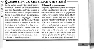 -      QUANDO Sr EA CrÒ CHE Sr DrCE A SE STESST?
        Lurija svolge alcuni interessanti esperi-     Riflesso di orientamento
        menti con i bambini per dimostrare come       Un primo esperimento prevede siano pre-
 lltr   essi, con il procedere dell'età, riescano a   sentati adei bambini trai3ei5anni un
 l4
        esercitare sul proprio comportamento          cerchio rosso su uno sfondo grigio e un
        forme di controllo sempre più complesse,      cerchio verde su uno sfondo giallo. I bam-
{l!;r
        proprio attraverso il linguaggio. La prima    bini devono schiacciare una peretta di
        di queste forme è il controllo sul riflesso   gomma, rispettivamente con la mano de-
        di orientamento; la seconda è il control-     stra e con la sinistra, alla comparsa del
        lo mediante la funzione di codice; la ter-    primo o del secondo segnale: i bambini
        za forma è il controllo mediante la fun-      imparano behe il compito ma, se al cer-
        zione di generalizzazione, legata al si-      chio rosso mettiamo uno sfondo giallo,
        gnificato delle parole. Cerchiamo ora di      anziché grigio, e al cerchio verde uno
        chiarire questi concetti attraverso la de-    sfondo grigio, anziché giallo, l'elemento
        scrizione di alcuni esperimenti.              più forte percettivamente (il cerchio) fa
 