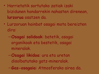 • Harrietatik sortutako zatiak izaki
bizidunen hondarrekin nahasten direnean,
lurzorua osatzen da.
• Lurzoruan hainbat osagai mota bereizten
dira:
– Osagai solidoak: batetik, osagai
organikoak eta bestetik, osagai
mineralak.
– Osagai likidoa: ura eta uretan
disolbatutako gatz-mineralak.
– Gas-osagaia: Atmosferako airea da.

 