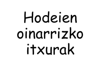 Hodeien
oinarrizko
itxurak
 