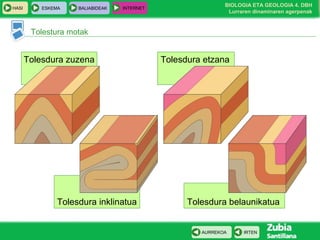HASI

ESKEMA

BALIABIDEAK

INTERNET

BIOLOGIA ETA GEOLOGIA 4. DBH
Lurraren dinaminaren agerpenak

Tolestura motak

Tolesdura zuzena

Tolesdura inklinatua

Tolesdura etzana

Tolesdura belaunikatua

AURREKOA

IRTEN

 