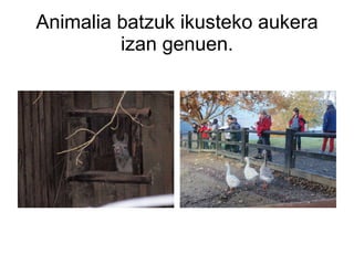 Animalia batzuk ikusteko aukera izan genuen. 